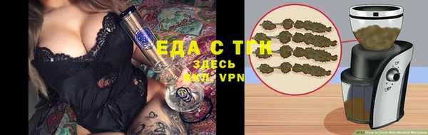 хмурый Абаза