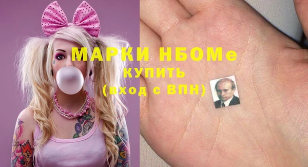хмурый Абаза