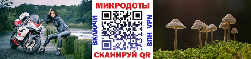Галлюциногенные грибы мухоморы  магазин продажи наркотиков  Сергач 